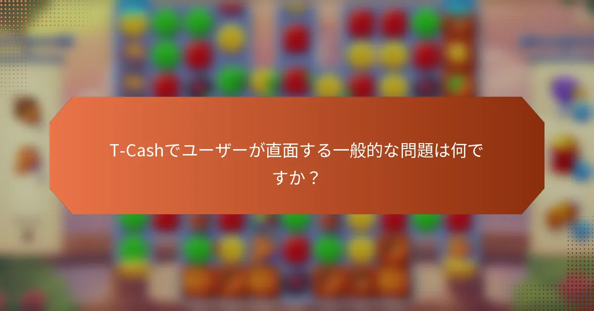 T-Cashでユーザーが直面する一般的な問題は何ですか？